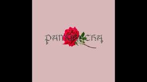 Pamuhacha