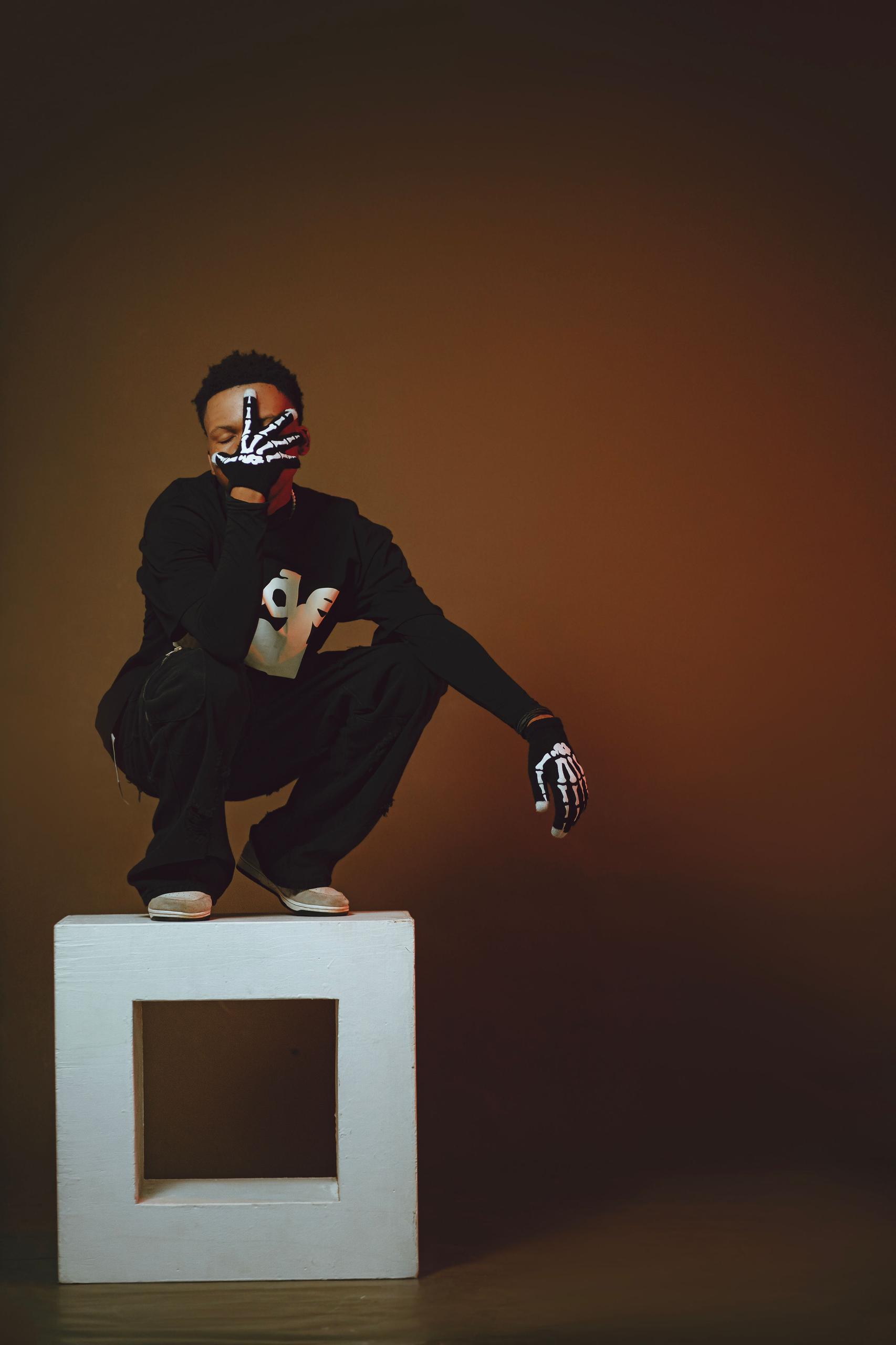 Sane.wav sitting on a cube
